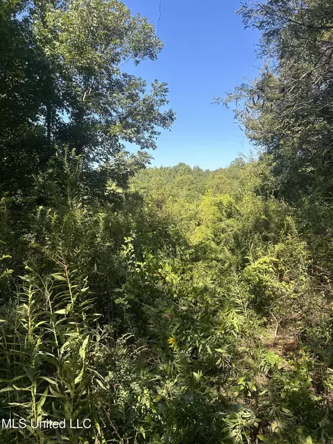 Ms Highway 12, Tchula, MS 39169 photo 31