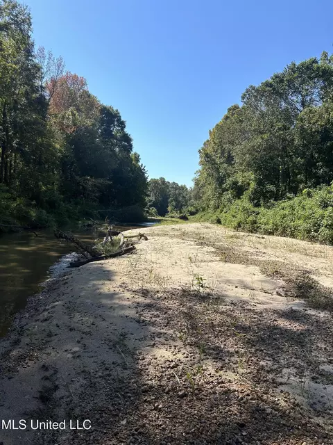 Ms Highway 12, Tchula, MS 39169 photo 47