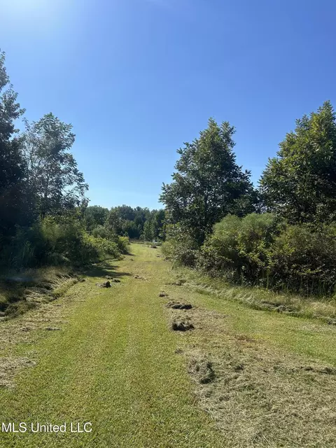 Ms Highway 12, Tchula, MS 39169 photo 28