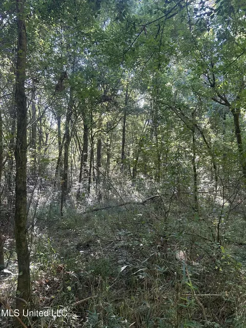 Ms Highway 12, Tchula, MS 39169 photo 35