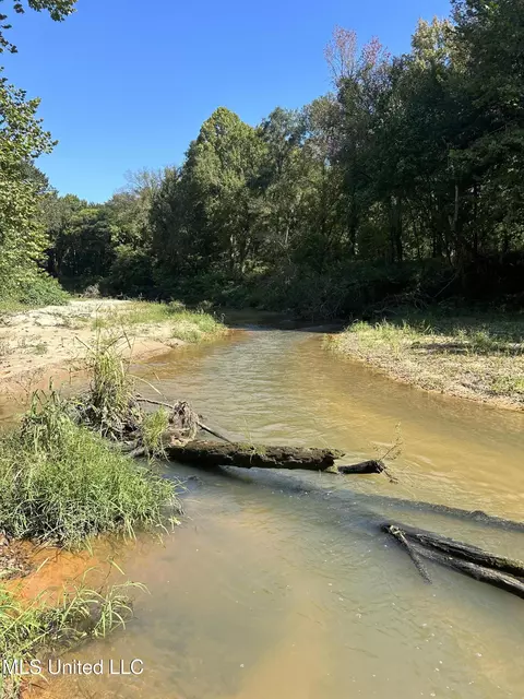 Ms Highway 12, Tchula, MS 39169 photo 48
