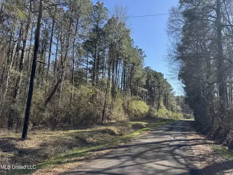 1185 Archie Boyd Rd, Jayess, MS 39641
