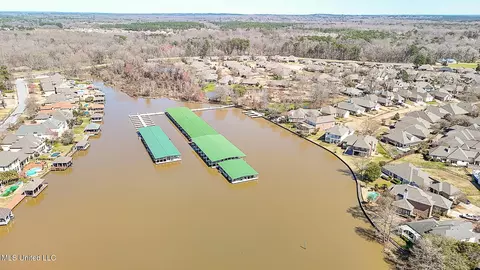View/Area - 262 Lighthouse Ln, Brandon, MS 39047 photo 6 of 7