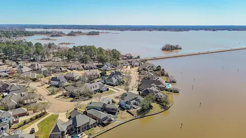 View/Area - 262 Lighthouse Ln, Brandon, MS 39047 photo 7 of 7