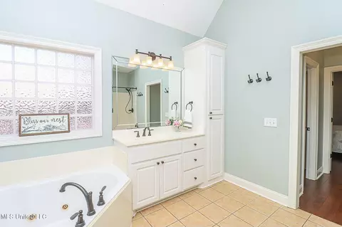 Bath - 262 Lighthouse Ln, Brandon, MS 39047 photo 6 of 10