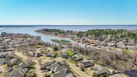 View/Area - 262 Lighthouse Ln, Brandon, MS 39047 photo 2 of 7