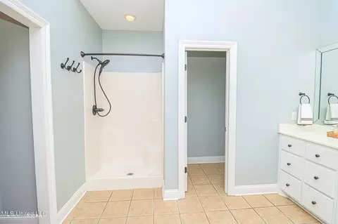 Bath - 262 Lighthouse Ln, Brandon, MS 39047 photo 8 of 10