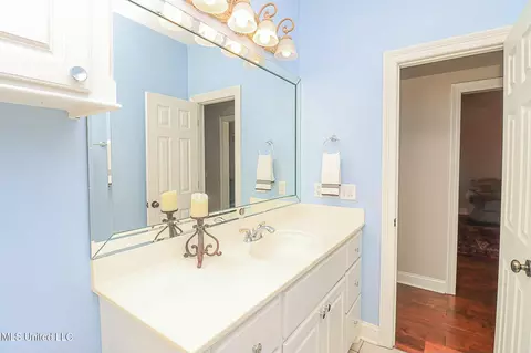 Bath - 262 Lighthouse Ln, Brandon, MS 39047 photo 3 of 10