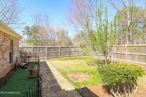 Exterior - 262 Lighthouse Ln, Brandon, MS 39047 photo 11 of 12