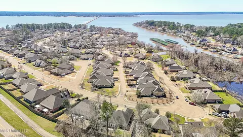 View/Area - 262 Lighthouse Ln, Brandon, MS 39047 photo 5 of 7