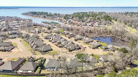 View/Area - 262 Lighthouse Ln, Brandon, MS 39047 photo 4 of 7