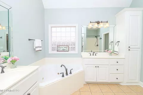 Bath - 262 Lighthouse Ln, Brandon, MS 39047 photo 5 of 10