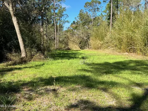 Olga Drive, Pass Christian, MS 39571