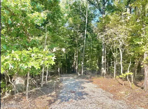 2288 Wanda Faye Dr, Hernando, MS 38632 photo 4