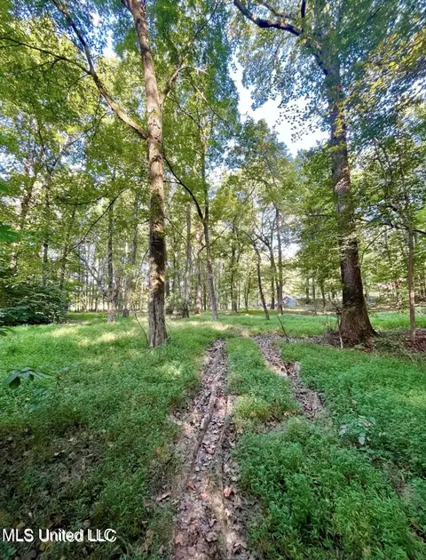 2288 Wanda Faye Dr, Hernando, MS 38632 photo 3