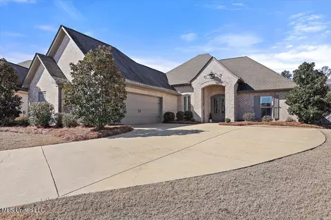 313 Bristlecone Ct, Flowood, MS 39232