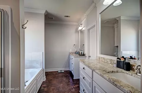 Bath - 451 Greenfield Ridge Circle Cir, Brandon, MS 39042 photo 1 of 1