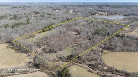 0 Freeman Dr, Coldwater, MS 38618