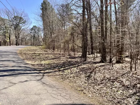 6121 Pleasant Hill Dr, Hernando, MS 38632 photo 5