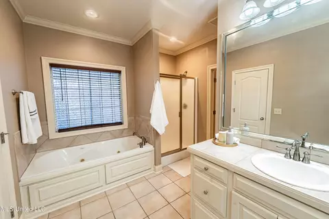 Bath - 408 Copper Ridge Dr, Florence, MS 39073 photo 2 of 3