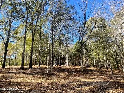 1 Lep Childress Rd, Flora, MS 39071 photo 4