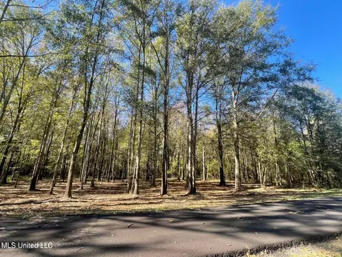 1 Lep Childress Rd, Flora, MS 39071 photo 5