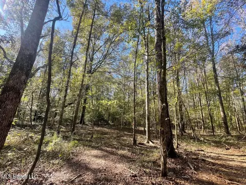 1 Lep Childress Rd, Flora, MS 39071 photo 9