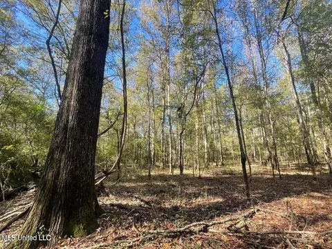 1 Lep Childress Rd, Flora, MS 39071 photo 8