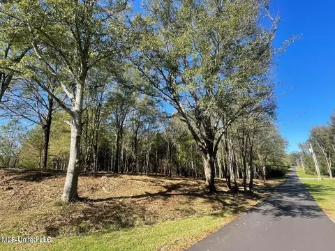 1 Lep Childress Rd, Flora, MS 39071 photo 2