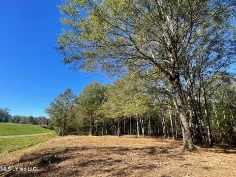 1 Lep Childress Rd, Flora, MS 39071