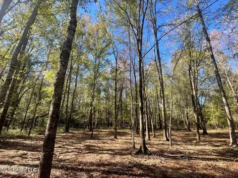 1 Lep Childress Rd, Flora, MS 39071 photo 6