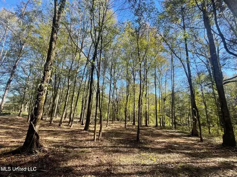 1 Lep Childress Rd, Flora, MS 39071 photo 7