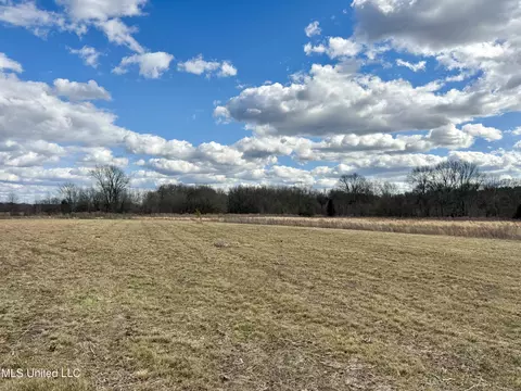 000010 Terrell Rd, Bentonia, MS 39040