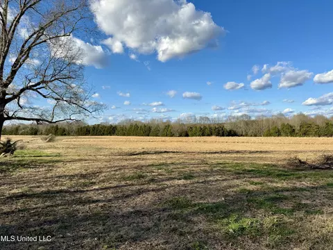 0001 Russell Rd, Flora, MS 39071 photo 2