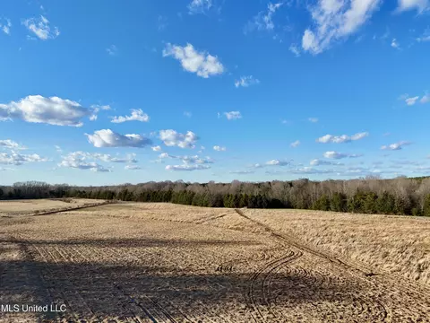 0001 Russell Rd, Flora, MS 39071 photo 19