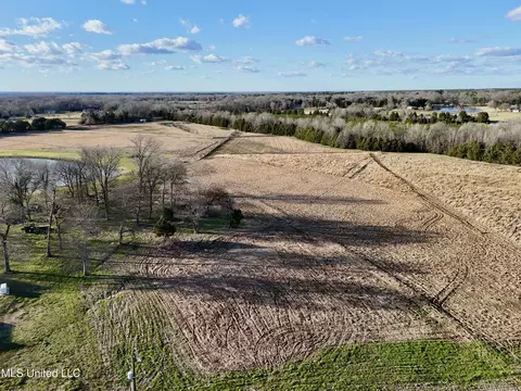 0001 Russell Rd, Flora, MS 39071 photo 5