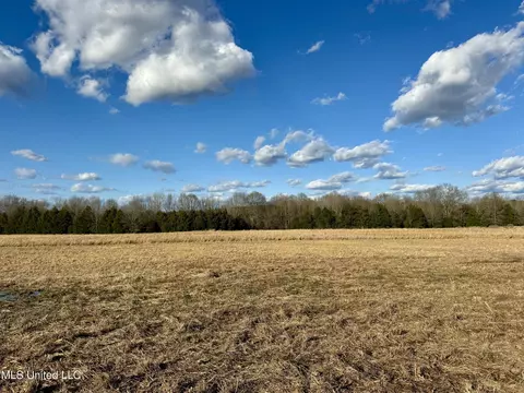0001 Russell Rd, Flora, MS 39071 photo 17