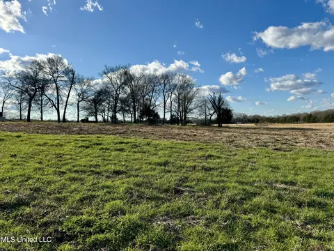 0001 Russell Rd, Flora, MS 39071 photo 8