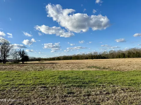 0001 Russell Rd, Flora, MS 39071 photo 6