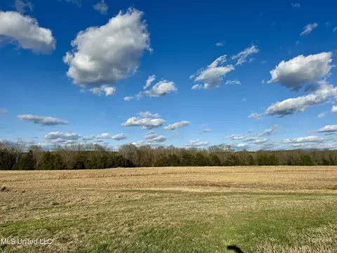 0001 Russell Rd, Flora, MS 39071 photo 11