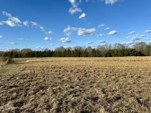 0001 Russell Rd, Flora, MS 39071 photo 21