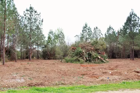 0 82ac Shannon Ln, Lucedale, MS 39452 photo 5