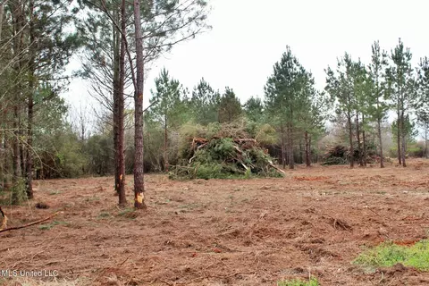 0 82ac Shannon Ln, Lucedale, MS 39452 photo 3
