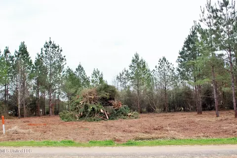 0 82ac Shannon Ln, Lucedale, MS 39452 photo 4