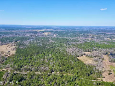 lot1 Cowart Holiday Rd, Poplarville, MS 39470