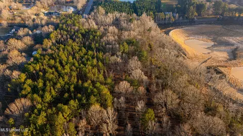 Hwy 468, Brandon, MS 39042 photo 4