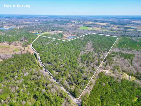 lot2 Cowart Holiday Rd, Poplarville, MS 39470