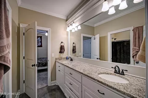 Bath - 168 Belle Oak Dr, Brandon, MS 39042 photo 5 of 7