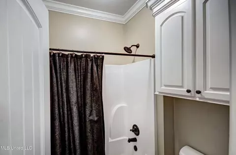 Bath - 168 Belle Oak Dr, Brandon, MS 39042 photo 7 of 7