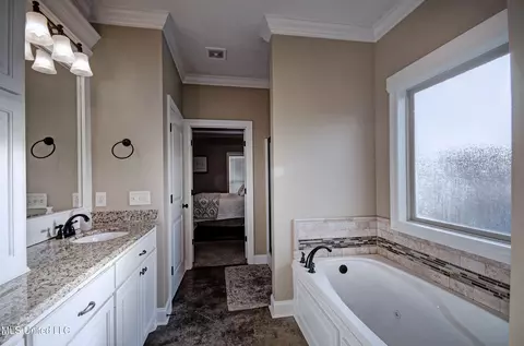 Bath - 168 Belle Oak Dr, Brandon, MS 39042 photo 1 of 7